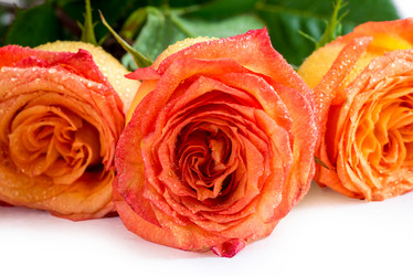 Similar image 12213388