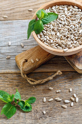 Similar image 12201145