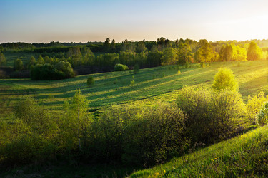 Similar image 12210246