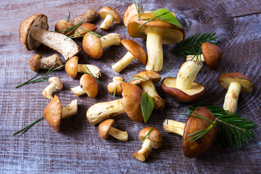 Similar image 12210637