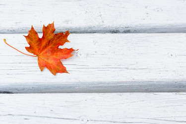 Similar image 12210739