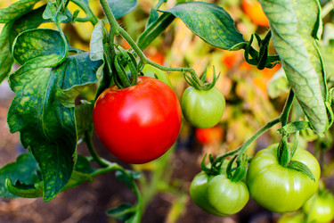 Similar image 12210748