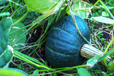 Similar image 12210767