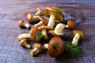 Similar image 12210770