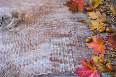 Similar image 12210906