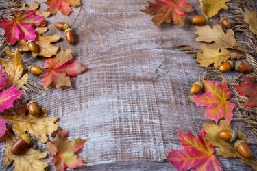 Similar image 12211006