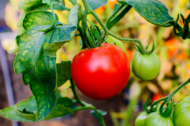 Similar image 12211108