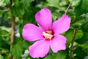 Similar image 12218581