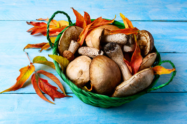 Similar image 12211129