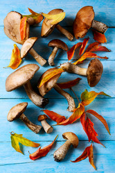 Similar image 12211134