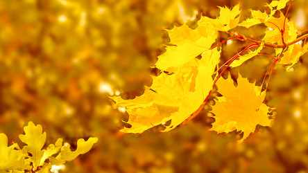 Similar image 12211256