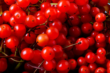 Similar image 12211270