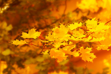 Similar image 12211273