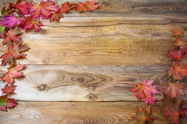 Similar image 12211290