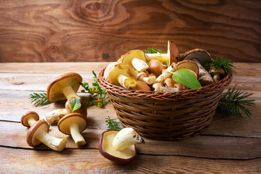 Similar image 12211407