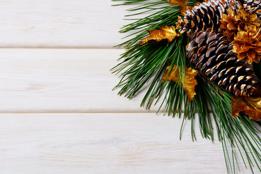 Similar image 12210250