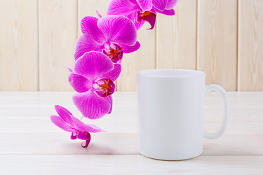 Similar image 12210688