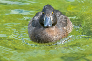 Similar image 12201425