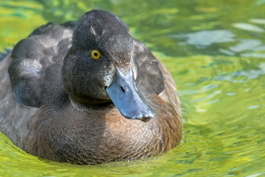 Similar image 12201426