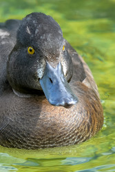 Similar image 12201427