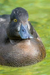 Similar image 12201428