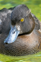 Similar image 12201429