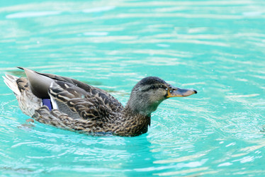 Similar image 12201432