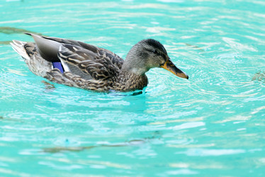 Similar image 12201444