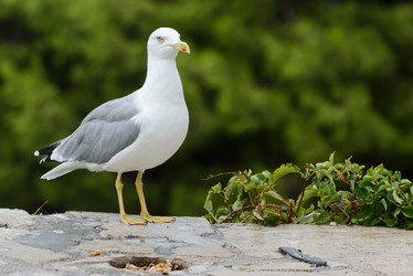 Similar image 12201446