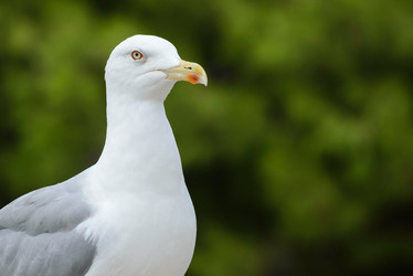 Similar image 12201449