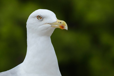 Similar image 12201451