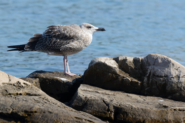 Similar image 12201452