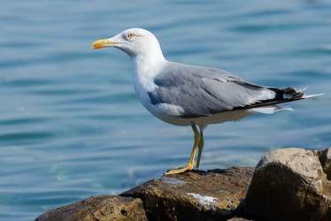 Similar image 12201464