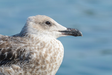 Similar image 12201467