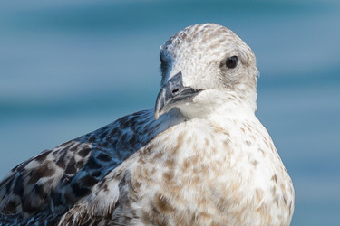 Similar image 12201469