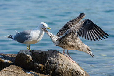 Similar image 12201489