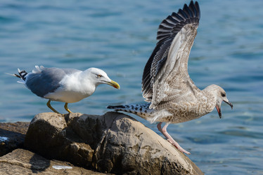 Similar image 12201490