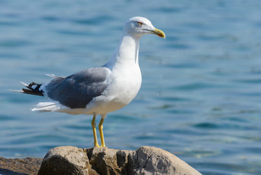 Similar image 12201491