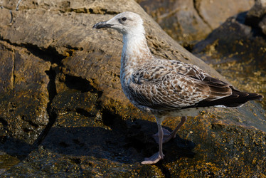 Similar image 12201505