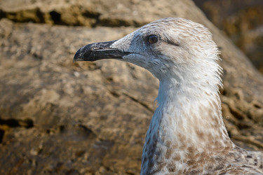 Similar image 12201506