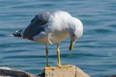 Similar image 12201507