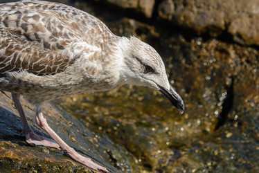 Similar image 12201509