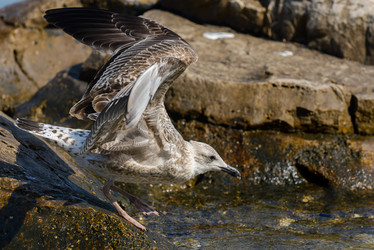 Similar image 12201510