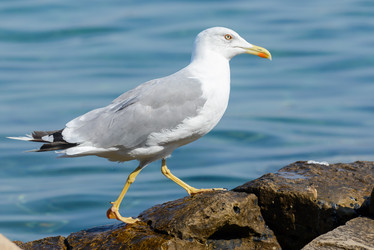 Similar image 12201511