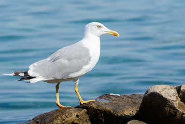 Similar image 12201512