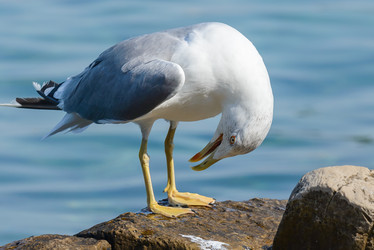 Similar image 12201533