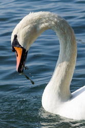 Similar image 12200372