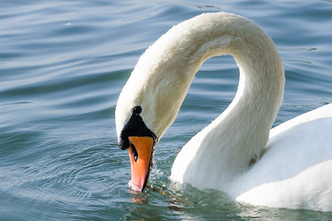 Similar image 12200374