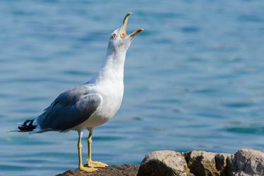 Similar image 12200415