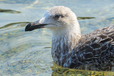 Similar image 12200420